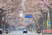 天天黄历共建“花园城市” 北京这场议政会“百花齐放”