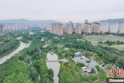 天天黄历西宁市举办六五环境日主题宣传活动