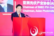 天天黄历SNEC大会开幕 朱共山：这一年大家都过得不容易 困难是暂时的